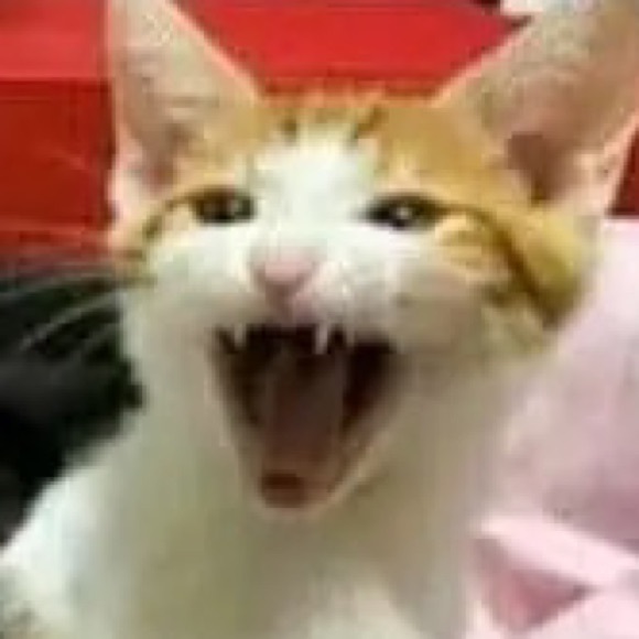 sillystinky